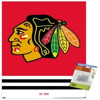 Чикаго Блекхокс-Лого Ѕид Постер Со Pushpins, 14.725 22.375