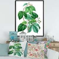 DesignArt 'Антички зелени лисја растенија iii' Традиционална врамена платно wallидна уметност печатење