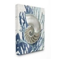 Sulpell Industries Shell Coral Beach Beach Blue Design Canvas Wallидна уметност од Каролин Кели